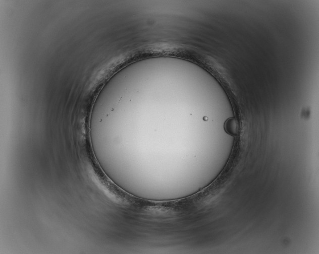 X0000115480633200911201840