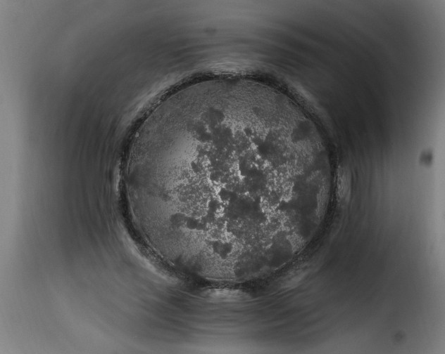 X0000115480637200911201840