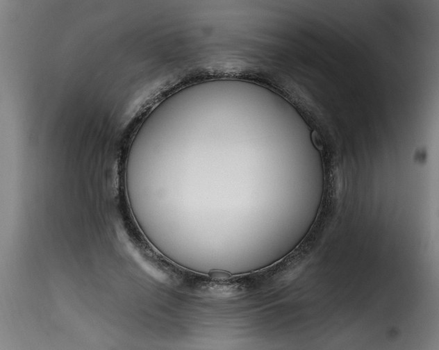 X0000115480638200911201840