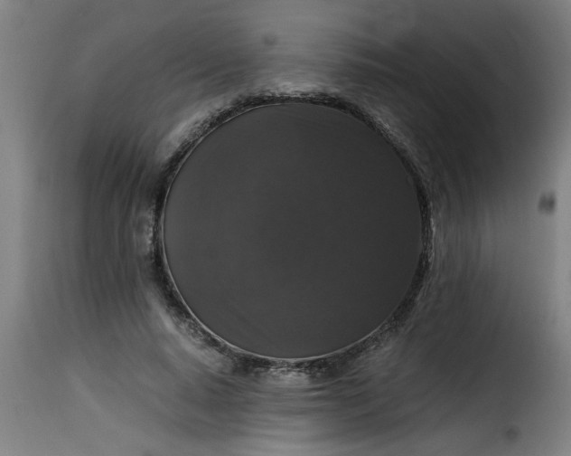 X0000115480640200911201840