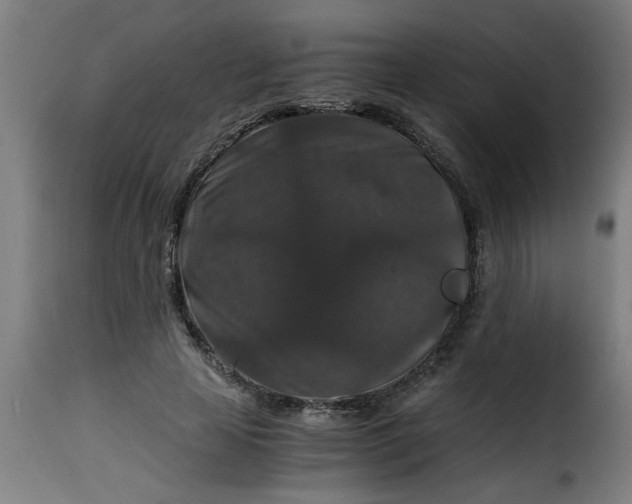 X0000115480641200911201840