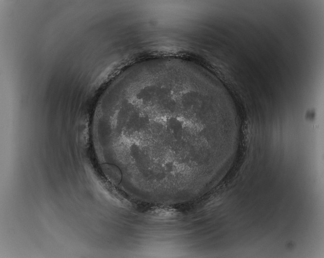 X0000115480642200911201840