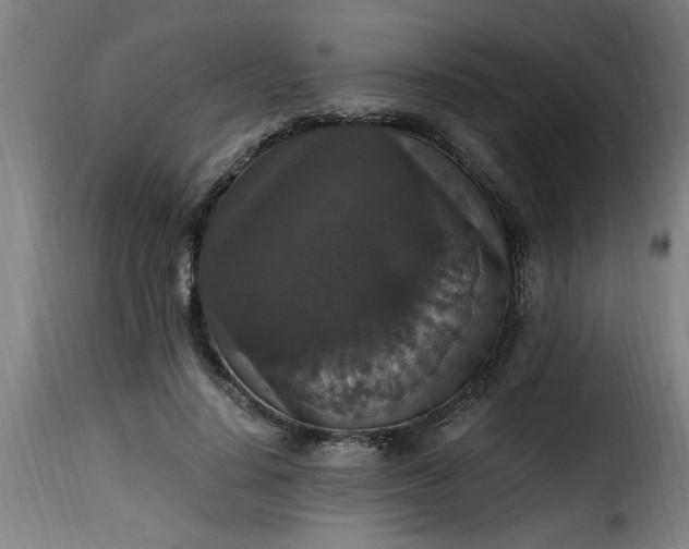 X0000115480644200911201840