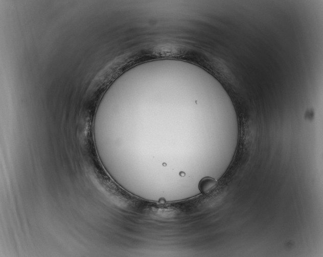 X0000115480645200911201840