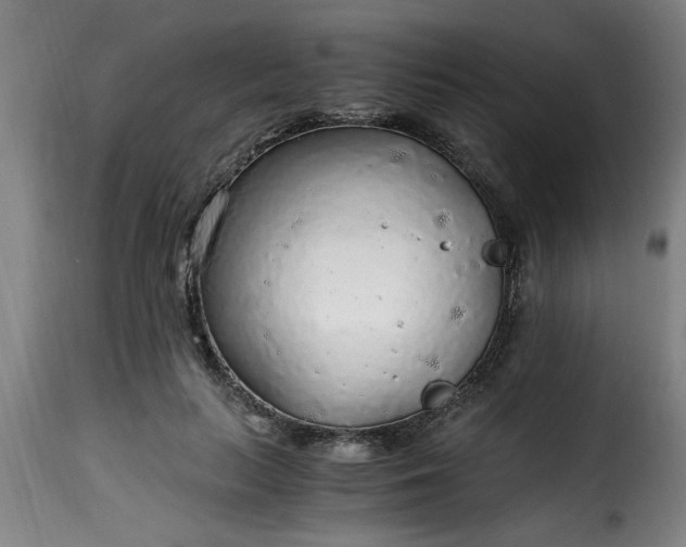 X0000115480647200911201840