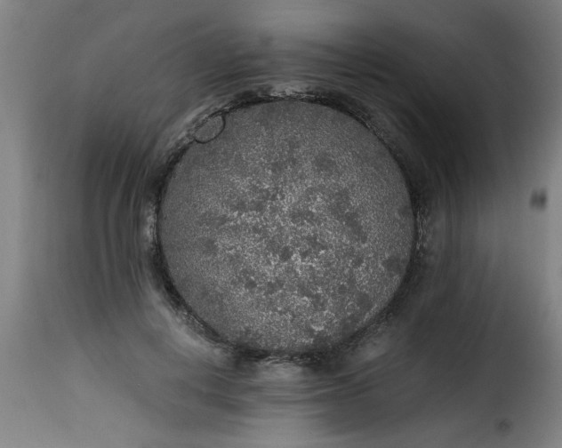 X0000115480648200911201840