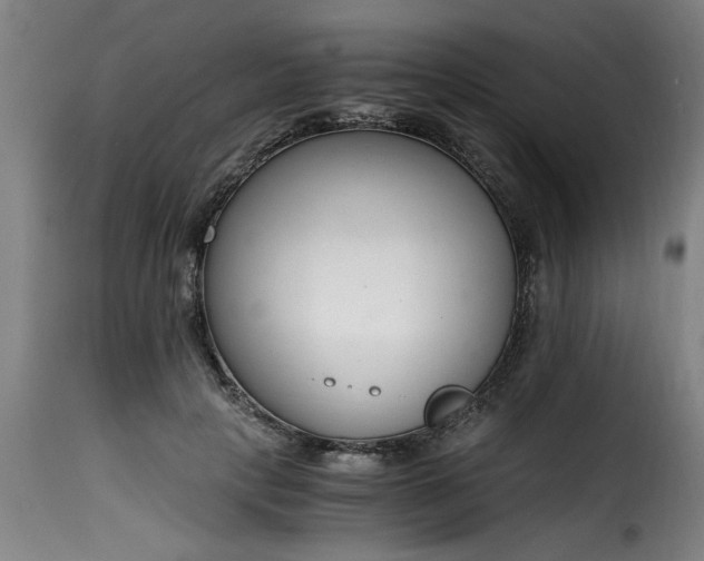 X0000115480649200911201840