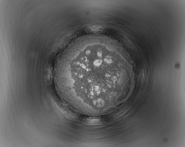 X0000115480651200911201840