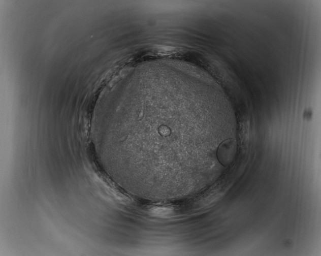 X0000115480653200911201840