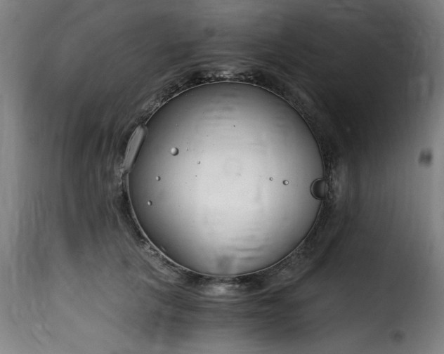 X0000115480657200911201841