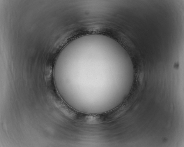 X0000115480660200911201841