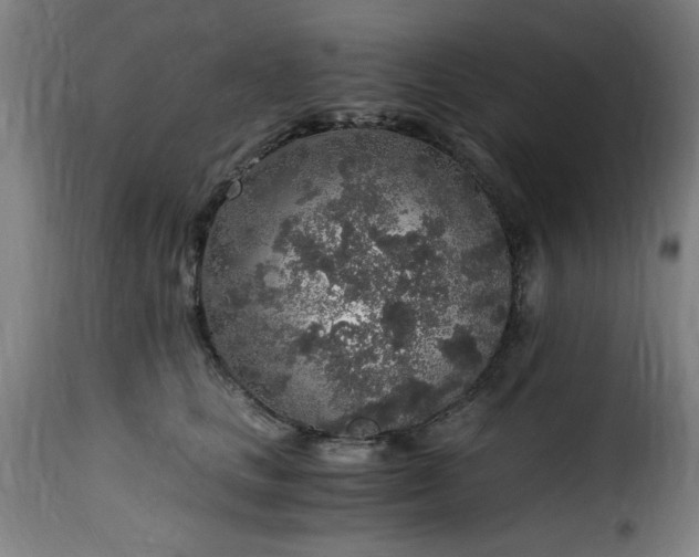 X0000115480661200911201841