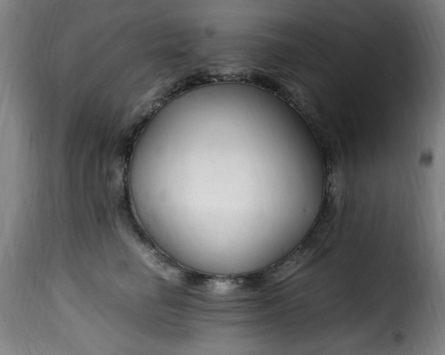 X0000115480662200911201841