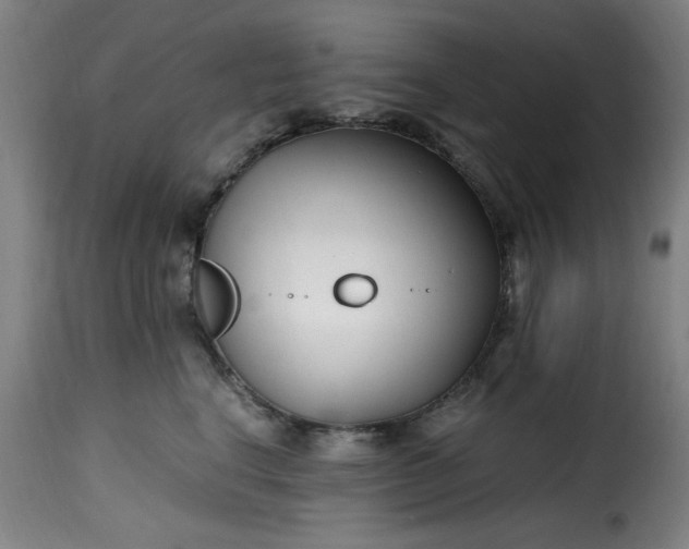 X0000115480664200911201841