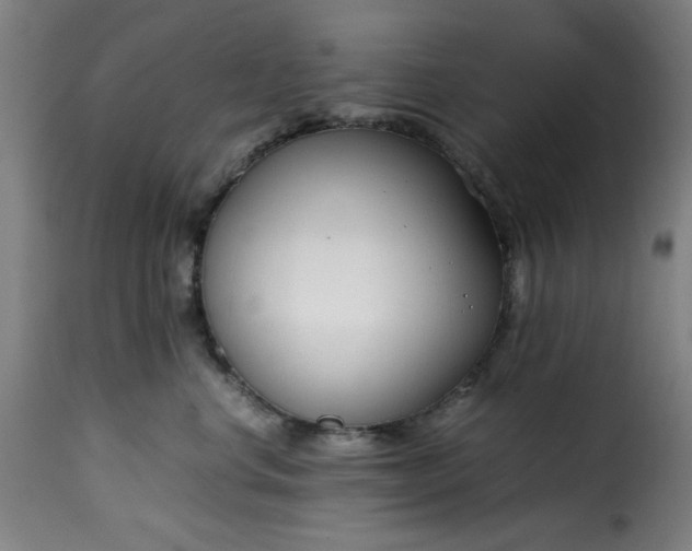 X0000115480668200911201841