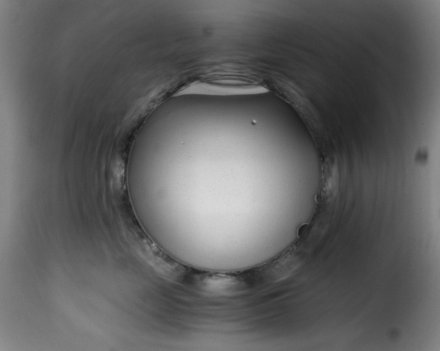 X0000115480669200911201841