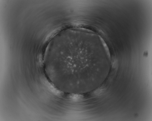 X0000115480670200911201841