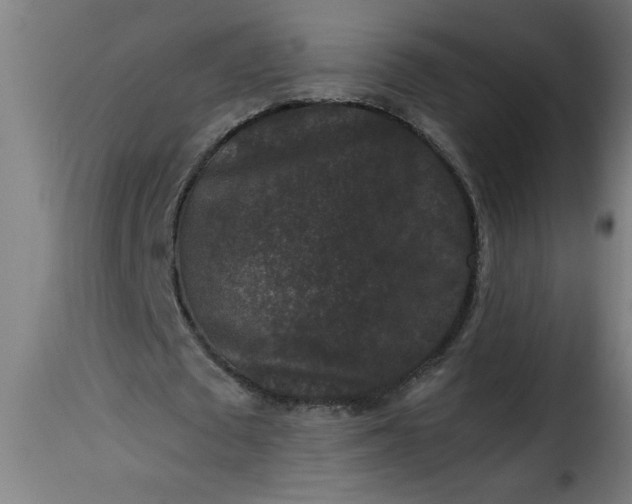 X0000115480673200911201840