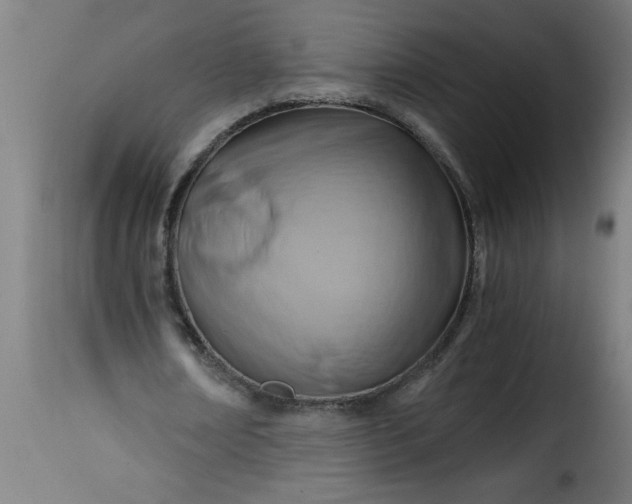 X0000115480674200911201840