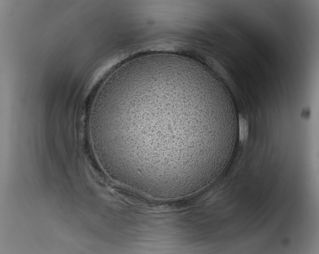 X0000115480675200911201840