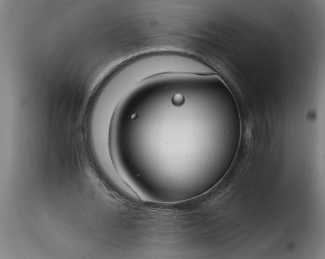 X0000115480676200911201840