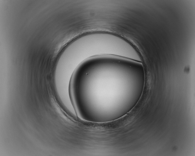 X0000115480677200911201840