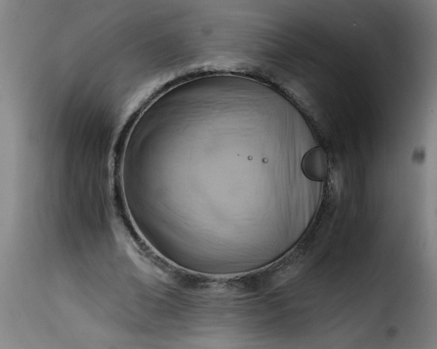 X0000115480678200911201840