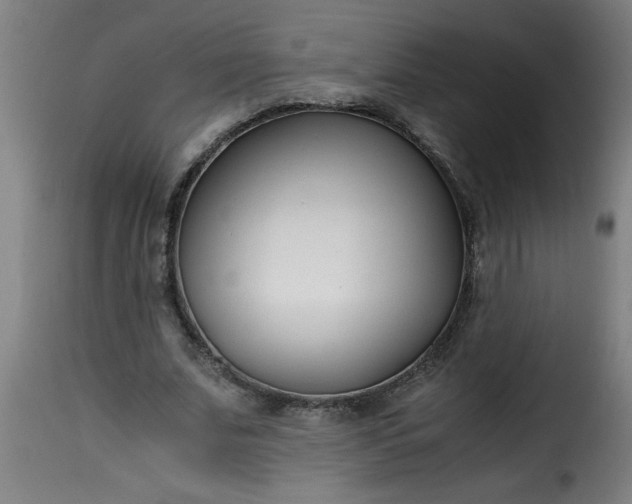 X0000115480679200911201840