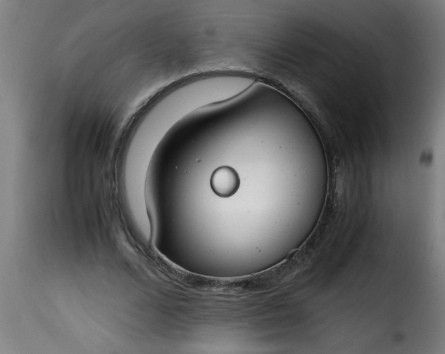 X0000115480680200911201840