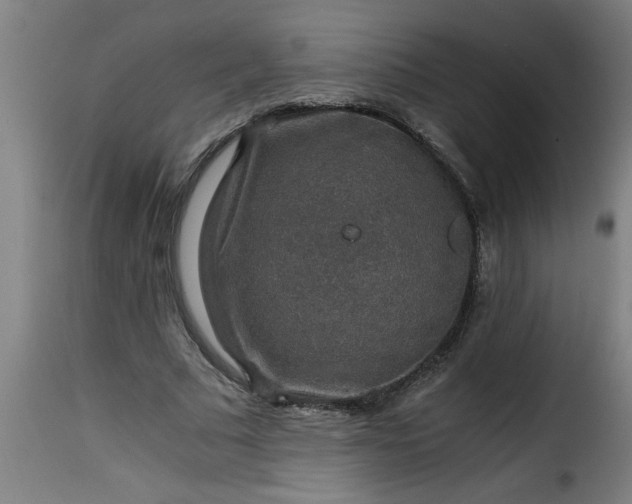 X0000115480681200911201840