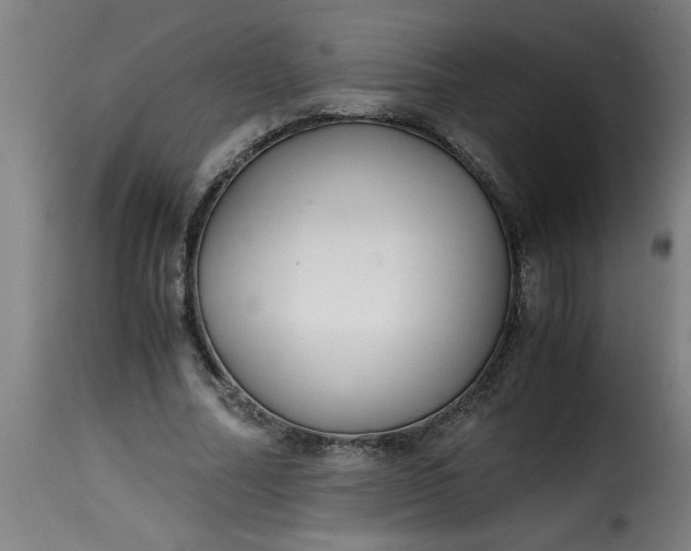 X0000115480682200911201840