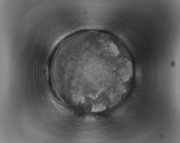 X0000115480684200911201840