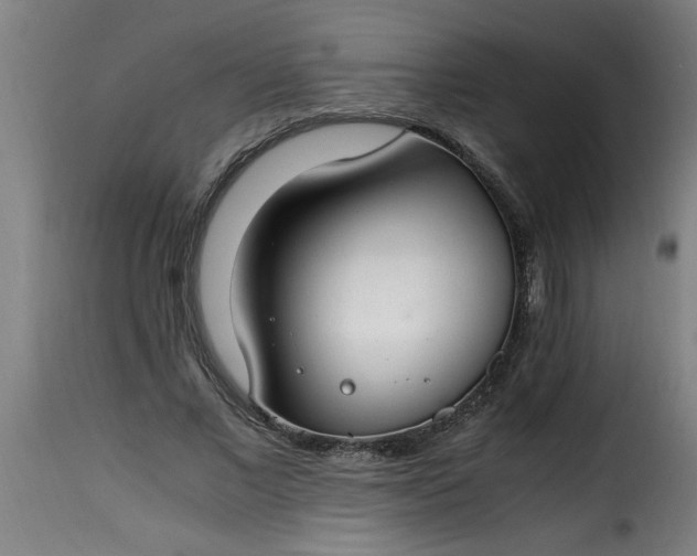 X0000115480685200911201840