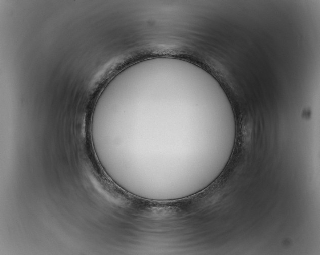 X0000115480686200911201840