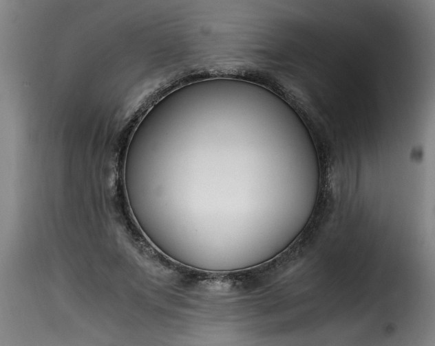 X0000115480687200911201840