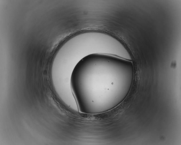 X0000115480688200911201840