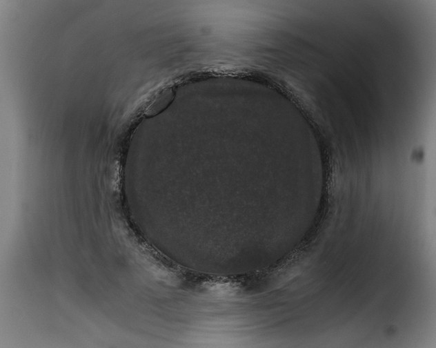 X0000115480689200911201840