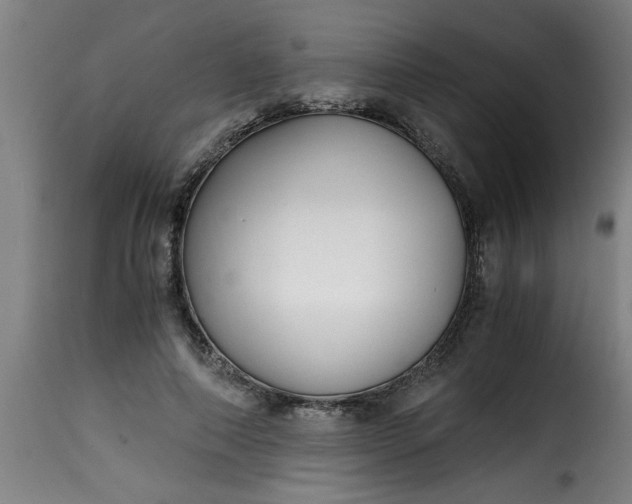 X0000115480690200911201840