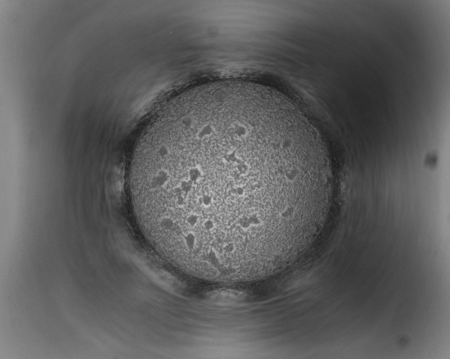 X0000115480691200911201840