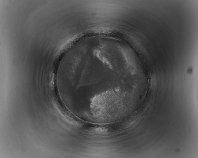 X0000115480692200911201840