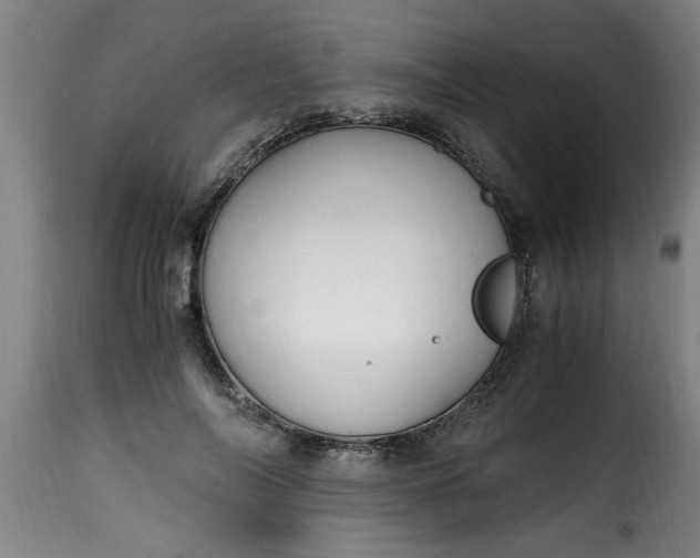 X0000115480694200911201840