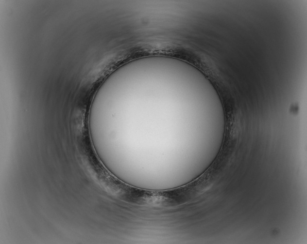 X0000115480695200911201840