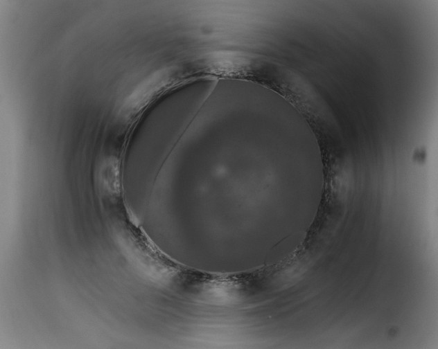 X0000115480696200911201840