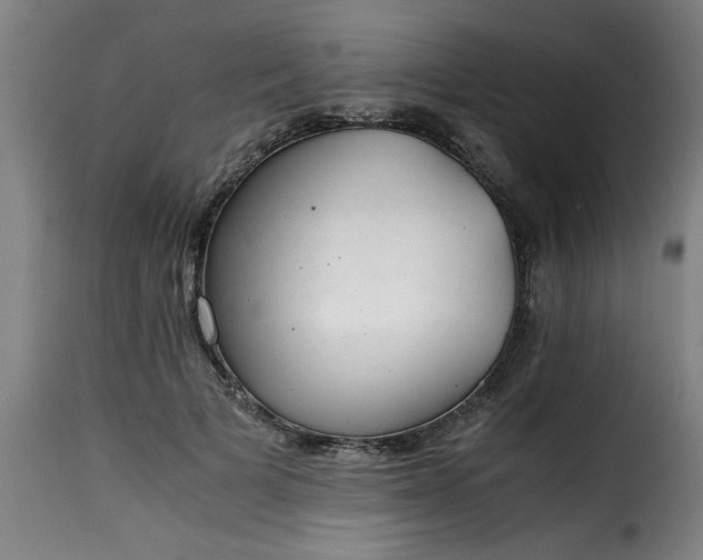 X0000115480697200911201840