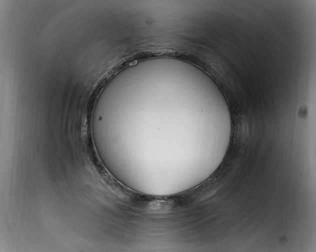 X0000115480700200911201840