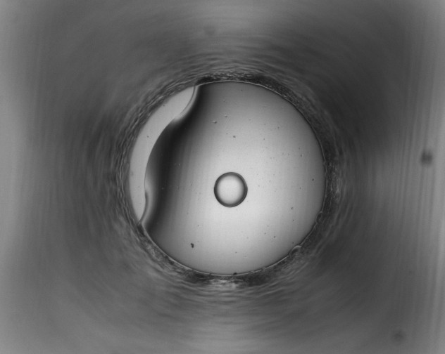 X0000115480701200911201840