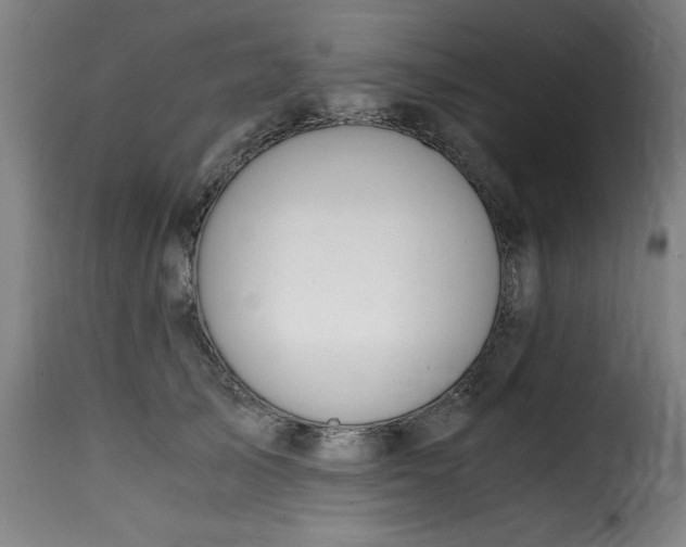 X0000115480705200911201840