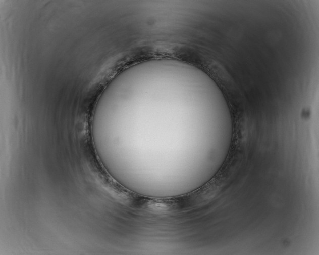 X0000115480706200911201840