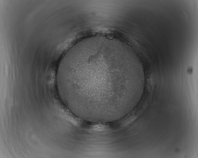 X0000115480708200911201840