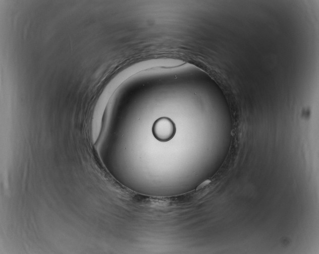 X0000115480709200911201840